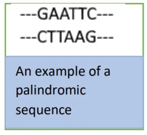 CRISPR - Example