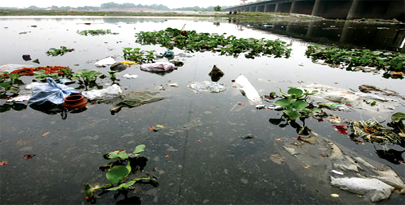 Yamuna Dying